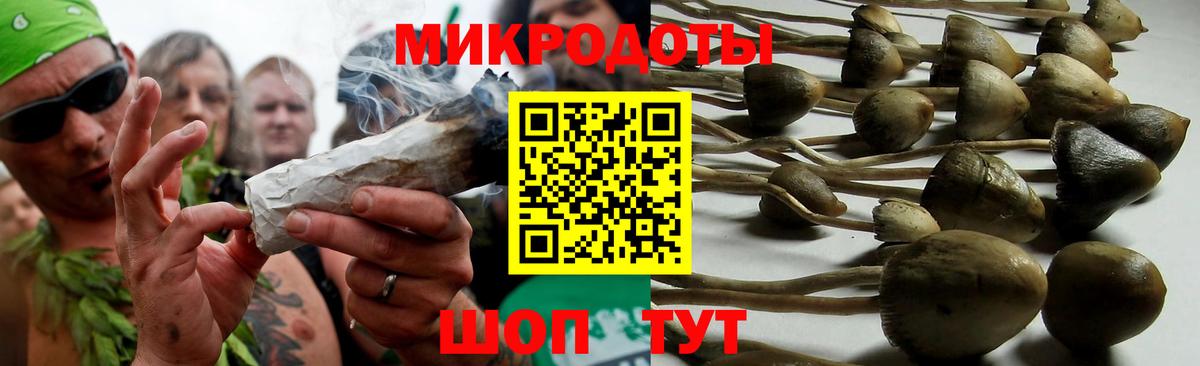 Саров  Галлюциногенные грибы GOLDEN TEACHER  Вход с VPN 
